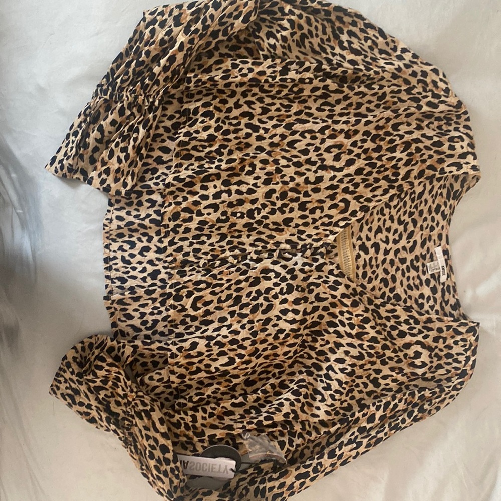 Amuse society blouse
